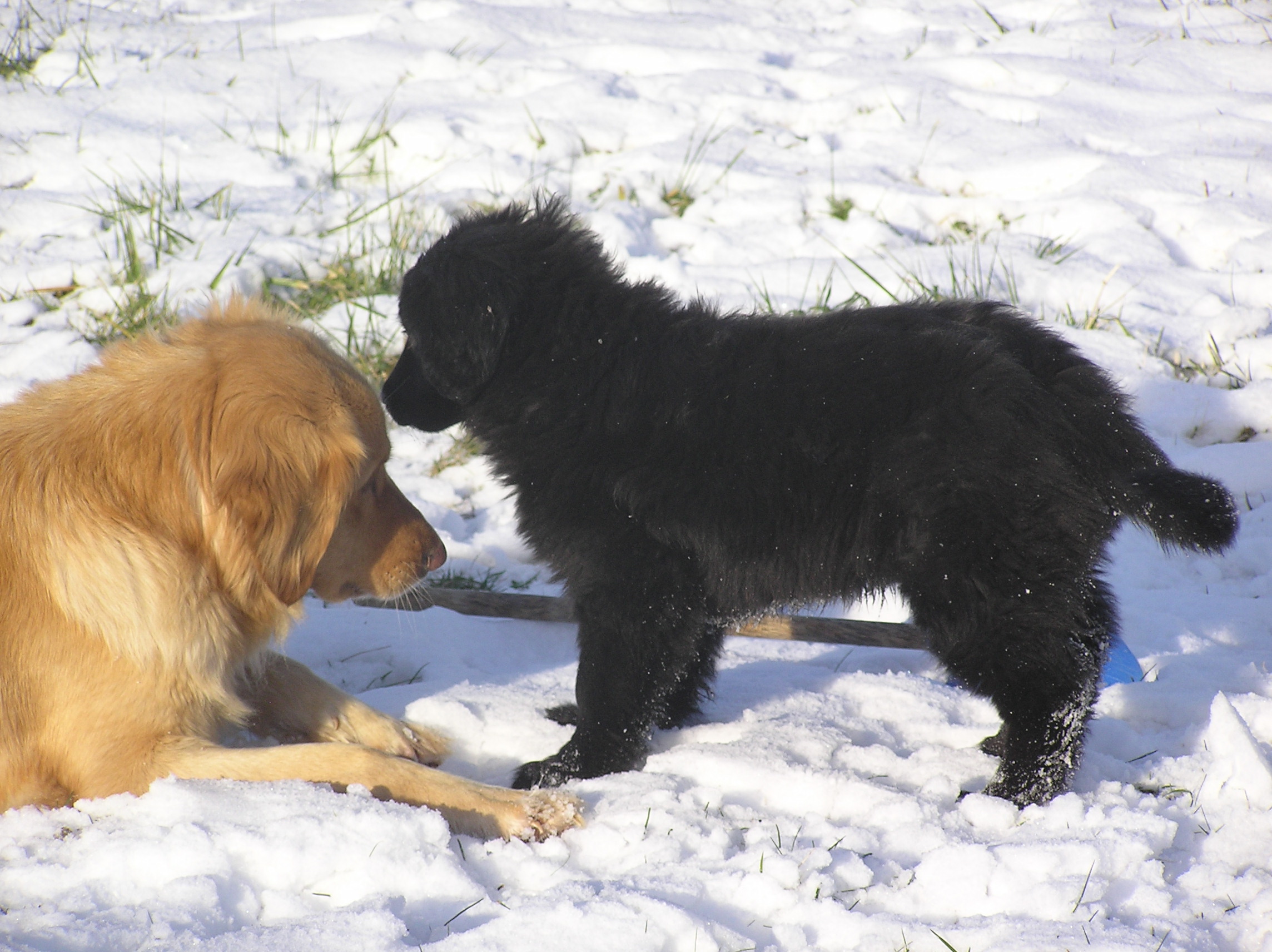december 2011 085.JPG