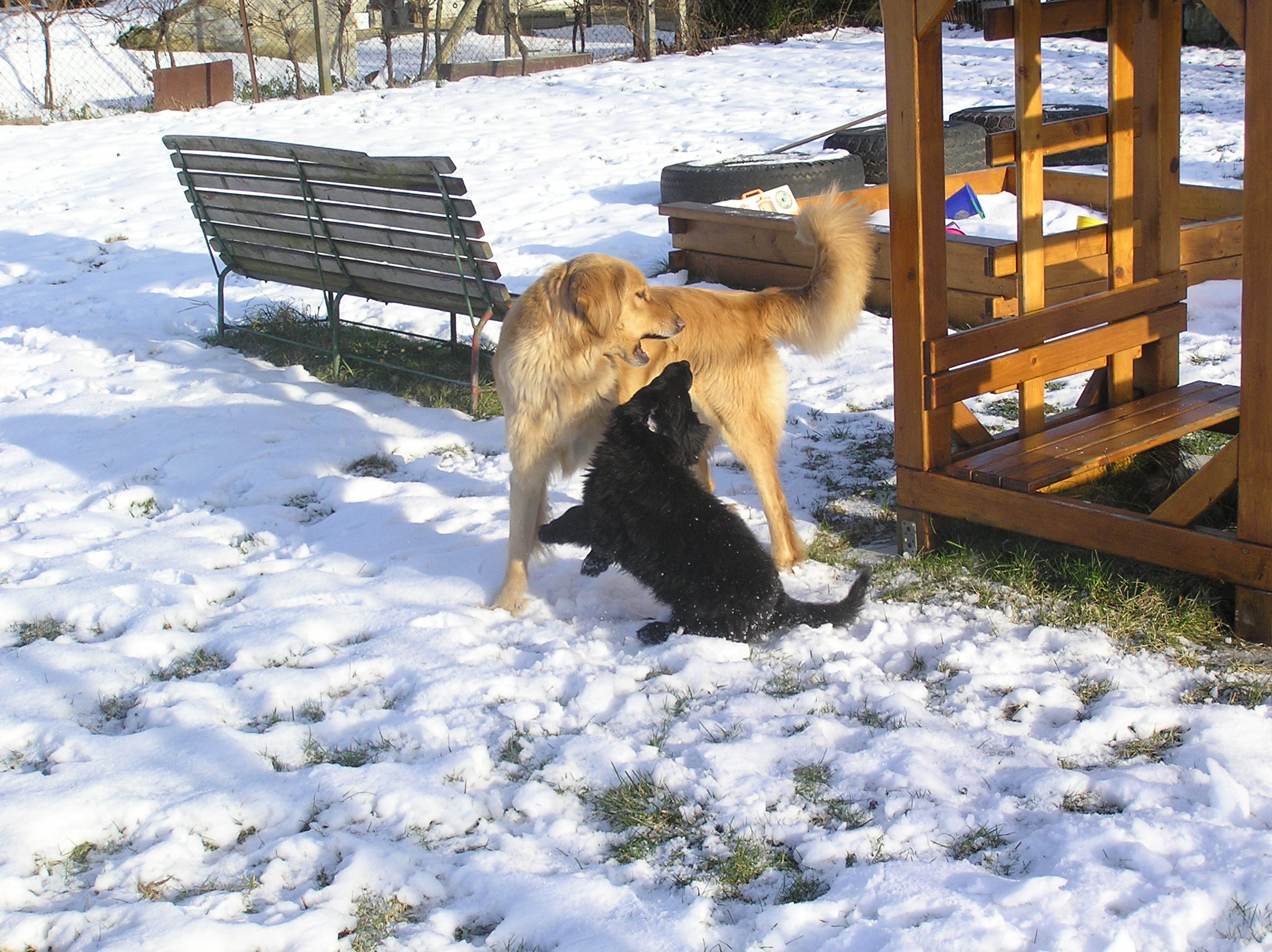december 2011 093.JPG