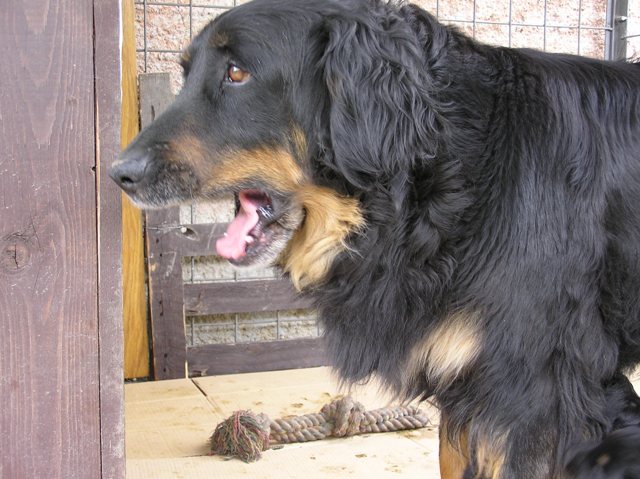 Ester Folcrum 084.jpg