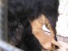 Ester Folcrum 074.jpg